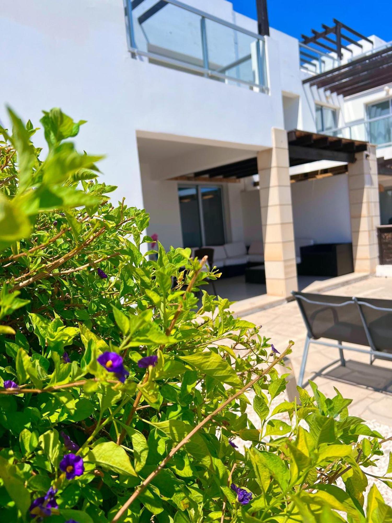 3 Bedroom Seaview Villa Direct In Coral Bay With Pool エクステリア 写真